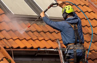 Démoussage et hydrofuge de toiture à Valbonnais
